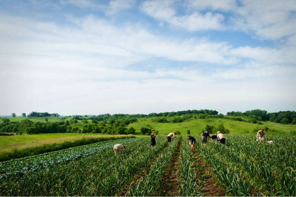 Iowa