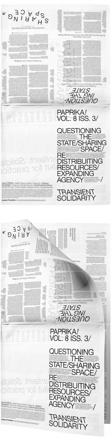 The cover of Transient Solidarity